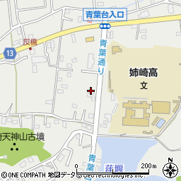 千葉県市原市姉崎2558周辺の地図