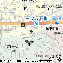 神奈川県横浜市神奈川区三ツ沢下町4-21周辺の地図