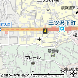 神奈川県横浜市神奈川区三ツ沢下町5-22周辺の地図