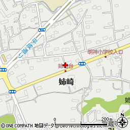 千葉県市原市姉崎2397周辺の地図