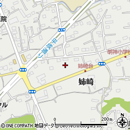 千葉県市原市姉崎2395-12周辺の地図