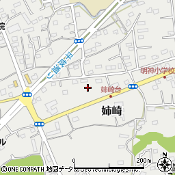 千葉県市原市姉崎2395-11周辺の地図