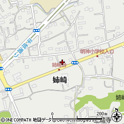 千葉県市原市姉崎2403周辺の地図