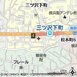神奈川県横浜市神奈川区三ツ沢下町3周辺の地図
