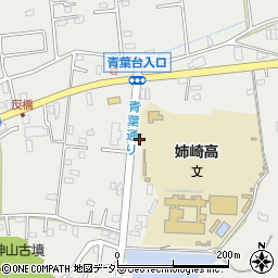 千葉県市原市姉崎2625周辺の地図