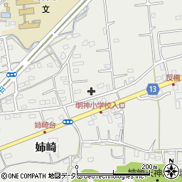 千葉県市原市姉崎1694周辺の地図