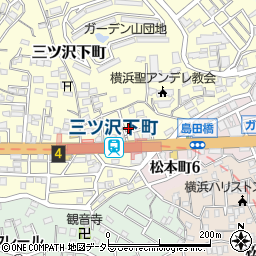 神奈川県横浜市神奈川区三ツ沢下町12-11周辺の地図