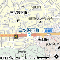 神奈川県横浜市神奈川区三ツ沢下町11-22周辺の地図