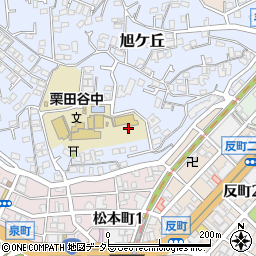 神奈川県横浜市神奈川区旭ケ丘14周辺の地図
