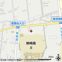 千葉県市原市姉崎2577-4周辺の地図