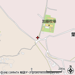 千葉県市原市葉木177周辺の地図