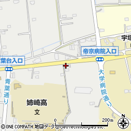 千葉県市原市姉崎2607-5周辺の地図