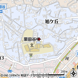 神奈川県横浜市神奈川区旭ケ丘18-16周辺の地図