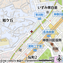 神奈川県横浜市神奈川区旭ケ丘10-11周辺の地図