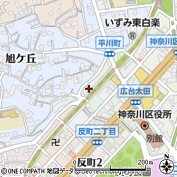 神奈川県横浜市神奈川区旭ケ丘10周辺の地図