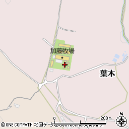 千葉県市原市葉木175周辺の地図