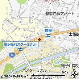 株式会社岩崎自動車商会周辺の地図