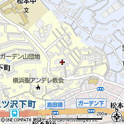 神奈川県横浜市神奈川区三ツ沢下町19-30周辺の地図