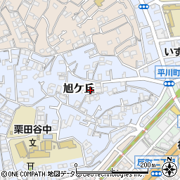 神奈川県横浜市神奈川区旭ケ丘4-30周辺の地図