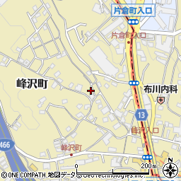 神奈川県横浜市保土ケ谷区峰沢町141周辺の地図
