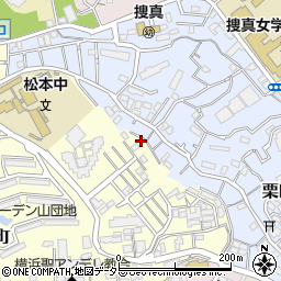神奈川県横浜市神奈川区三ツ沢下町17-36周辺の地図
