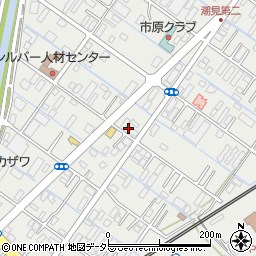 千葉県市原市姉崎871-3周辺の地図