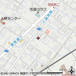 千葉県市原市姉崎789-27周辺の地図