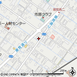 千葉県市原市姉崎869-1周辺の地図