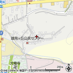 岐阜県関市雄飛ケ丘周辺の地図