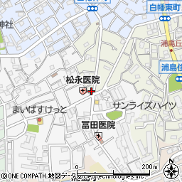 神奈川県横浜市神奈川区白幡東町3-11周辺の地図