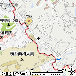 神奈川県横浜市保土ケ谷区新井町558周辺の地図
