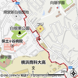 神奈川県横浜市保土ケ谷区新井町609周辺の地図
