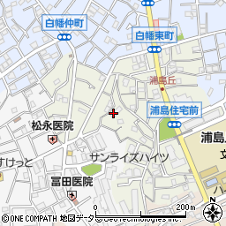 神奈川県横浜市神奈川区白幡東町周辺の地図