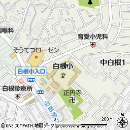 横浜市立白根小学校周辺の地図