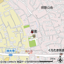 神奈川県横浜市神奈川区六角橋5丁目10-20周辺の地図