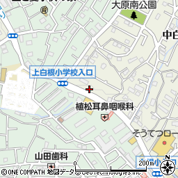 セブンイレブン横浜中白根２丁目店周辺の地図