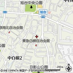 神奈川県横浜市旭区中白根周辺の地図