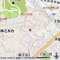 神奈川県横浜市神奈川区神之木台30周辺の地図