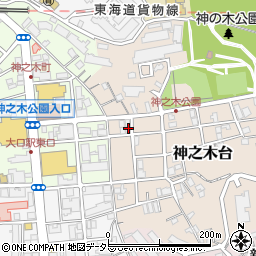 神奈川県横浜市神奈川区神之木台9-10周辺の地図