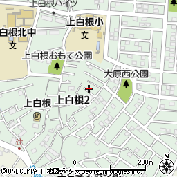 神奈川県横浜市旭区上白根2丁目42周辺の地図
