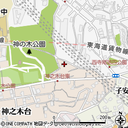 神奈川県横浜市神奈川区神之木台36周辺の地図