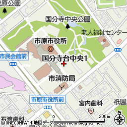 〒290-0073 千葉県市原市国分寺台中央の地図
