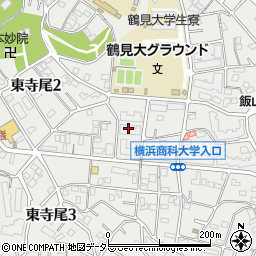 神奈川県横浜市鶴見区東寺尾2丁目3周辺の地図