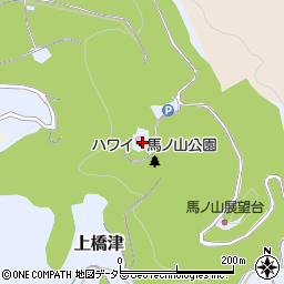 鳥取県東伯郡湯梨浜町上橋津710周辺の地図