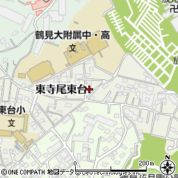 神奈川県横浜市鶴見区東寺尾東台16-3周辺の地図