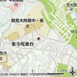 神奈川県横浜市鶴見区東寺尾東台16-6周辺の地図