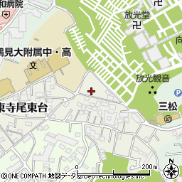 神奈川県横浜市鶴見区東寺尾東台17-28周辺の地図