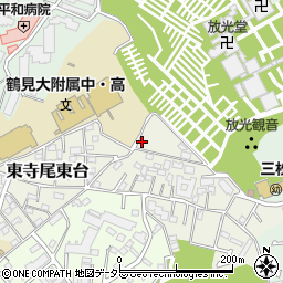 神奈川県横浜市鶴見区東寺尾東台17-2周辺の地図
