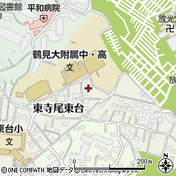 神奈川県横浜市鶴見区東寺尾東台16-9周辺の地図