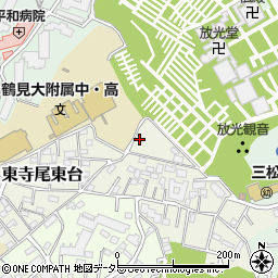 神奈川県横浜市鶴見区東寺尾東台17-3周辺の地図